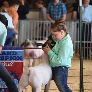 Meet your Posher, Amy